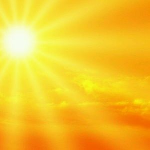 Meet your Posher, Trista